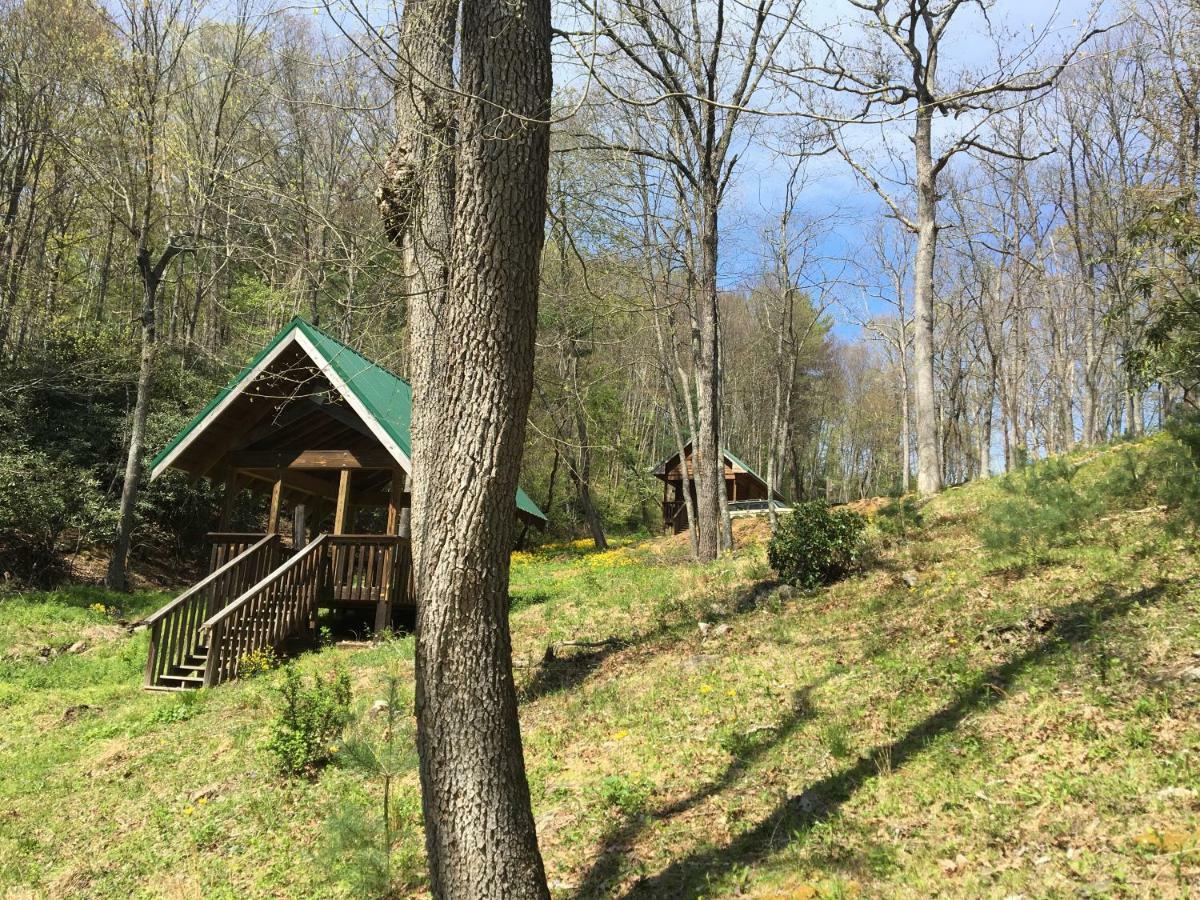 Little River Cabin Sparta Exterior photo